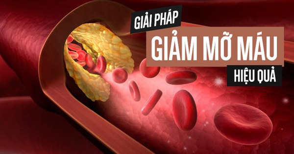 Thực phẩm tốt cho người mỡ máu cao