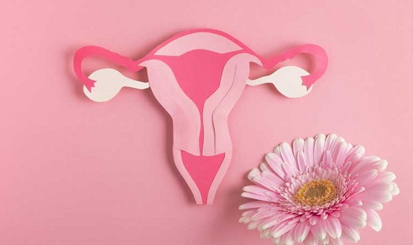 Phụ nữ có sẵn sàng chi trả cho xét nghiệm sàng lọc ung thư cổ tử cung?- Ảnh 1.