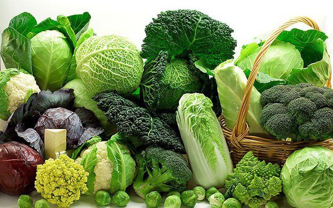 Bổ sung nhiều canxi cho người trung niên và cao tuổi có tốt không?- Ảnh 2. Bổ sung nhiều canxi cho người trung niên và cao tuổi có tốt không?- Ảnh 2.