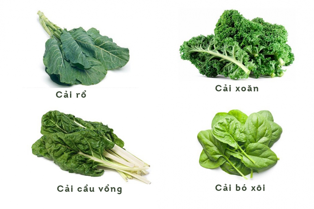 5 loại rau lá xanh hỗ trợ chức năng tuyến giáp- Ảnh 1. 5 loại rau lá xanh hỗ trợ chức năng tuyến giáp- Ảnh 1.
