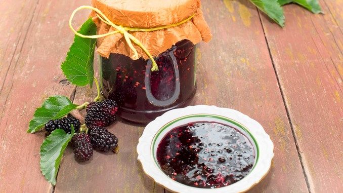 3 nhóm người không nên uống nước dâu tằm- Ảnh 1. 3 nhóm người không nên uống nước dâu tằm- Ảnh 1.