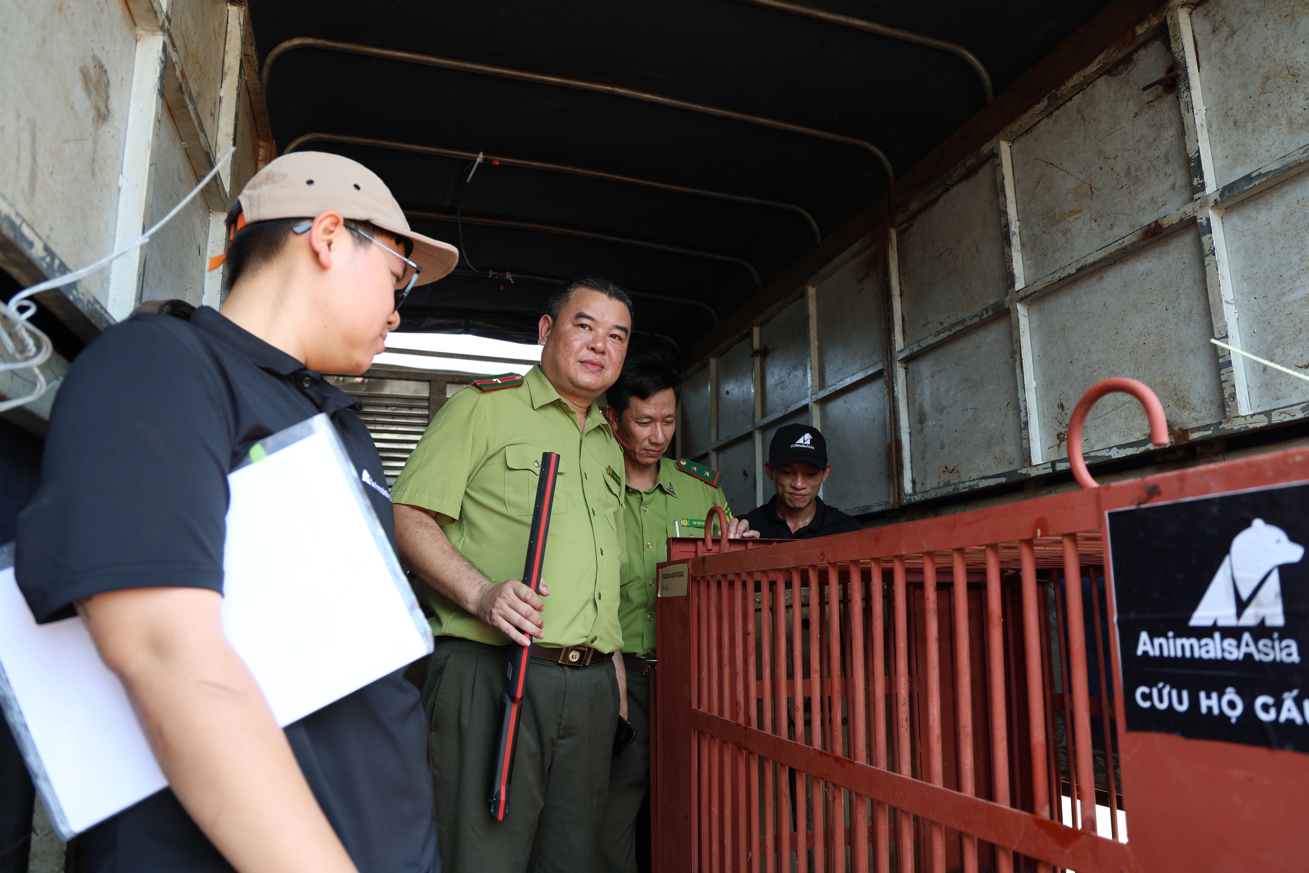 Giải cứu 2 cá thể gấu bị nuôi nhốt nhiều năm về 'nhà mới' ở Bạch Mã- Ảnh 7. Giải cứu 2 cá thể gấu bị nuôi nhốt nhiều năm về 'nhà mới' ở Bạch Mã- Ảnh 7.
