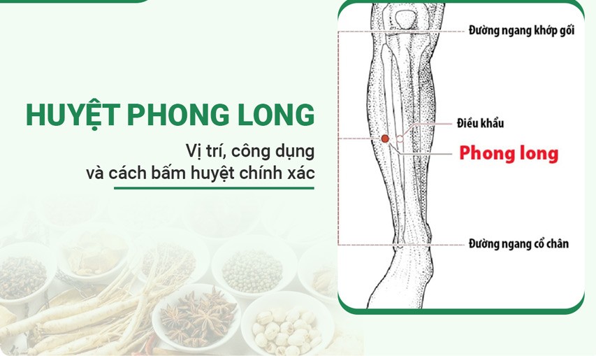 5 huyệt đạo giúp giảm chóng mặt, ù tai- Ảnh 4. 5 huyệt đạo giúp giảm chóng mặt, ù tai- Ảnh 4.