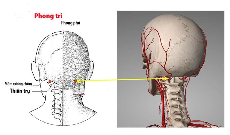 5 huyệt đạo giúp giảm chóng mặt, ù tai- Ảnh 1. 5 huyệt đạo giúp giảm chóng mặt, ù tai- Ảnh 1.