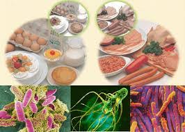 Bộ Y tế yêu cầu truy xuất nguồn gốc thực phẩm vụ hơn 40 học sinh nghi ngộ độc ở Cà Mau- Ảnh 1. Bộ Y tế yêu cầu truy xuất nguồn gốc thực phẩm vụ hơn 40 học sinh nghi ngộ độc ở Cà Mau- Ảnh 1.