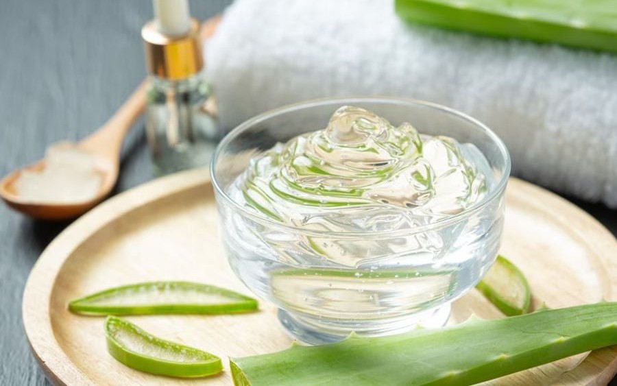Nha đam có tác dụng gì?- Ảnh 2. Cách sử dụng lô hội (nha đam) để có làn da sáng và mái tóc khỏe mạnh