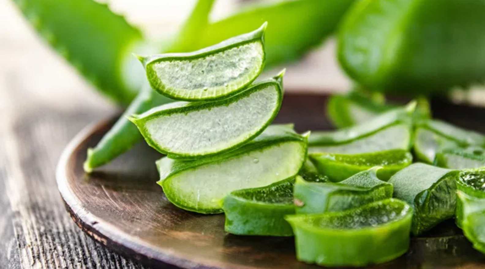 Nha đam có tác dụng gì?- Ảnh 1. Nha đam có tác dụng gì?- Ảnh 1.