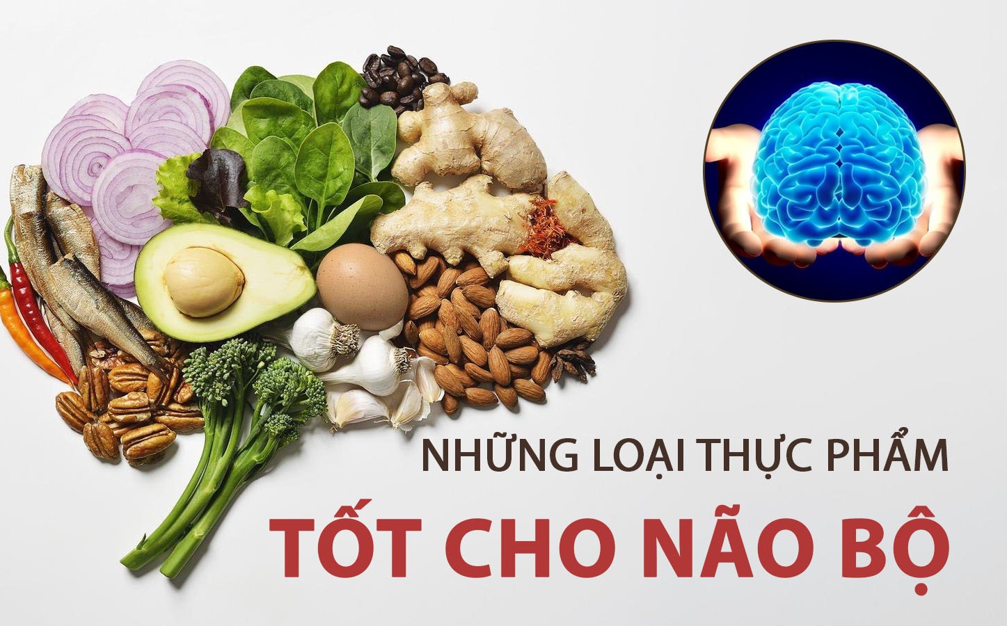 Các chất bổ sung cải thiện trí nhớ trong mùa thi: Hiểu đúng để dùng hiệu quả- Ảnh 3. Các chất bổ sung cải thiện trí nhớ trong mùa thi: Hiểu đúng để dùng hiệu quả- Ảnh 3.