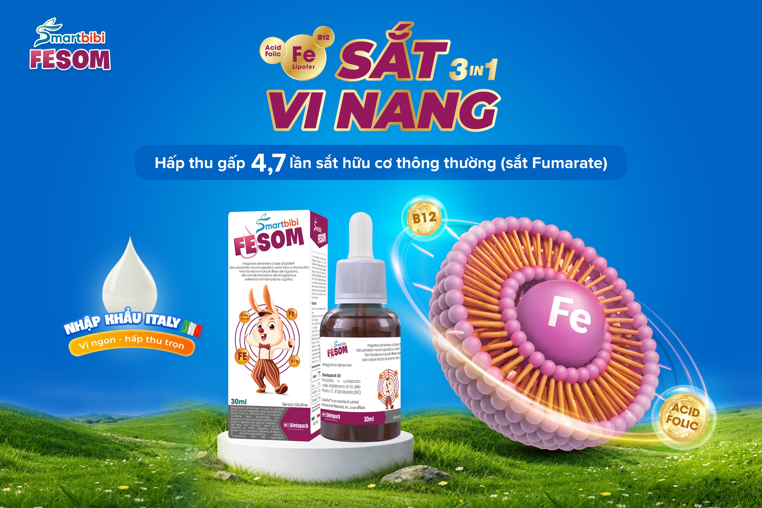Sắt vi nang hấp thu cao thế hệ mới từ Italy- Ảnh 3.