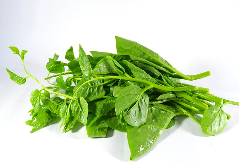 5 vị thuốc quen thuộc giúp giảm nóng trong, táo bón mùa hè- Ảnh 2.