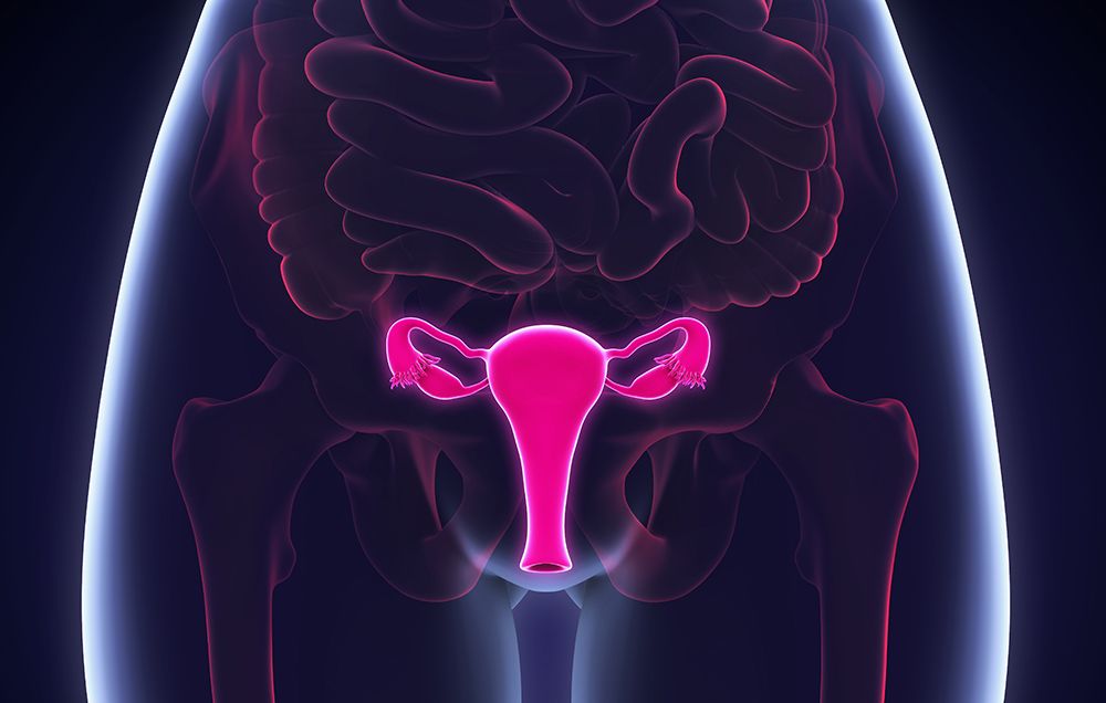 Ngoài ung thư cổ tử cung, HPV có thể gây loại ung thư nào khác?- Ảnh 1. Ngoài ung thư cổ tử cung, HPV có thể gây loại ung thư nào khác?- Ảnh 1.