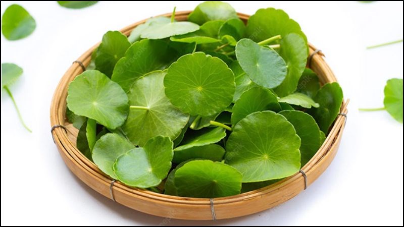 5 vị thuốc quen thuộc giúp giảm nóng trong, táo bón mùa hè- Ảnh 1.