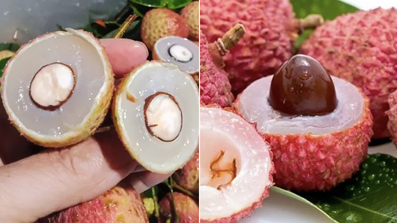 Ăn nhiều nhãn, vải thiều có gây mụn nhọt, hại cho da không?- Ảnh 1. Ăn nhiều nhãn, vải thiều có gây mụn nhọt, hại cho da không?- Ảnh 1.