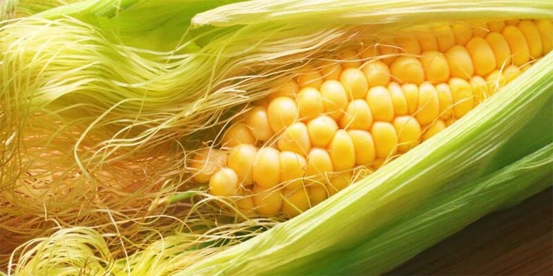 5 vị thuốc quen thuộc giúp giảm nóng trong, táo bón mùa hè- Ảnh 3.