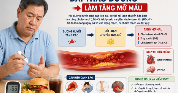 Điểm mới hướng dẫn điều trị tăng mỡ máu cho người đái tháo đường