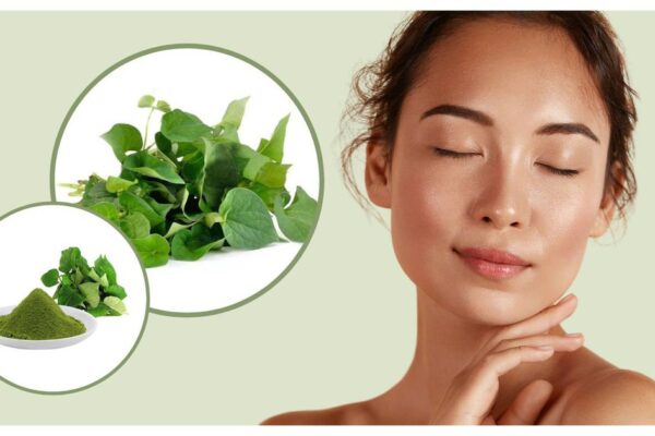 Rau má có hỗ trợ trị mụn trứng cá không?