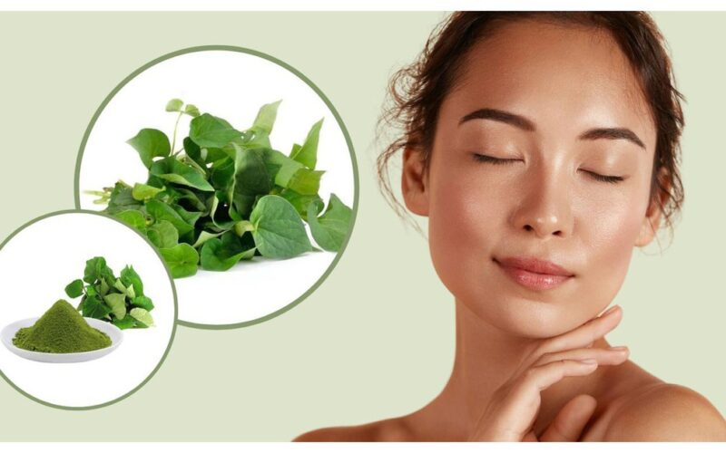 Rau má có hỗ trợ trị mụn trứng cá không?