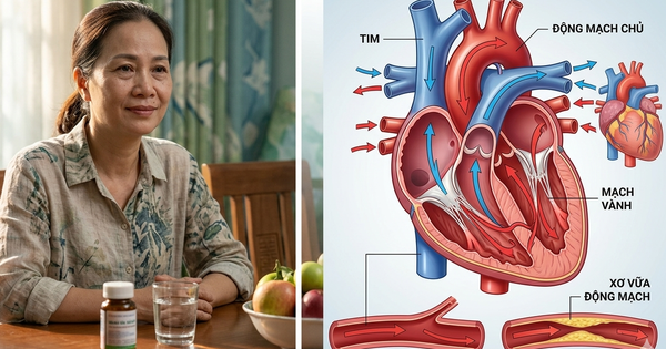 Mãn kinh sớm làm tăng 40% nguy cơ mắc bệnh tim mạch suốt đời
