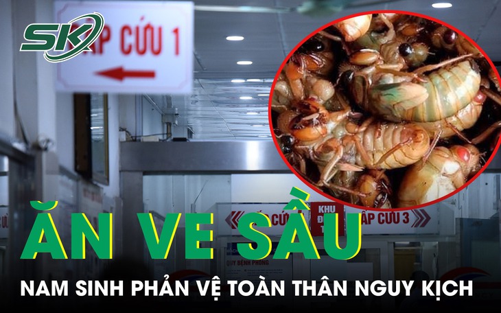 Ăn 2 con ve sầu, nam sinh 17 tuổi nhập viện lúc nửa đêm vì phản vệ toàn thân