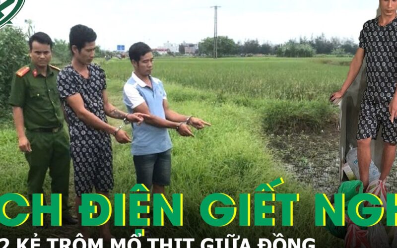Bắt giữ 2 kẻ kích điện giết nghé, mổ thịt ngay giữa đồng để phi tang