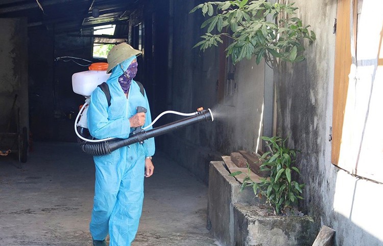 Xuất hiện thêm ổ dịch sốt xuất huyết, Hà Tĩnh tăng tốc phòng chống- Ảnh 2.
