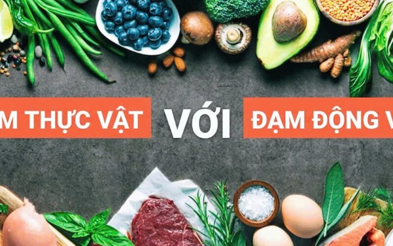 Protein từ động vật hay thực vật tốt hơn cho sức khỏe người cao tuổi?