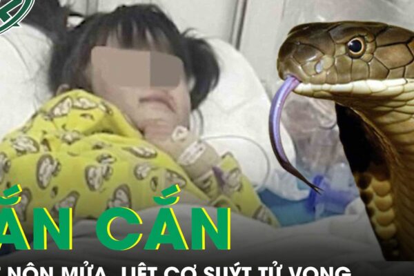 Rắn cắn khi đang ngủ, bé gái 5 tuổi nôn mửa, liệt cơ suýt tử vong