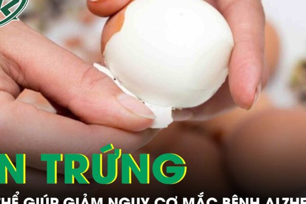 Ăn trứng thường xuyên có thể giúp giảm nguy cơ mắc bệnh Alzheimer