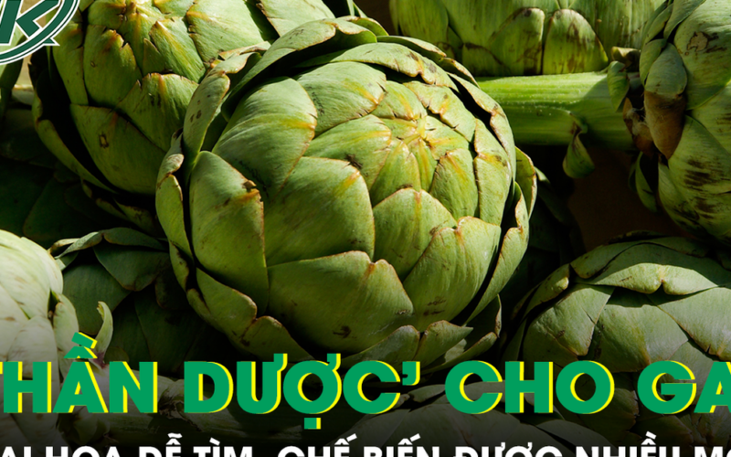 Loại hoa được ví như ‘thần dược’ cho gan, chế biến được nhiều món ngon
