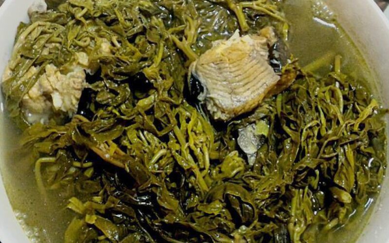 Lá sắn – nguyên liệu ẩm thực dân dã, giàu dinh dưỡng và lưu ý quan trọng khi chế biến