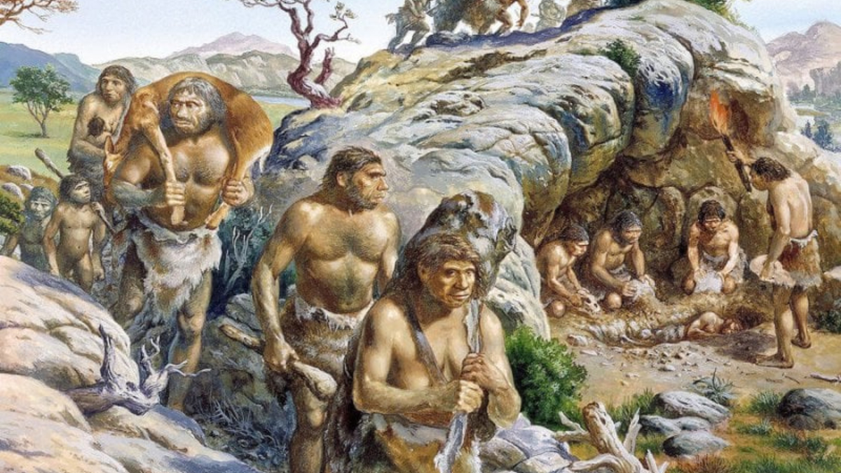 homosapiens-jpg-1779108690143113650923-1 Giải mã lý do 90% dân số loài người thuận tay phải- Ảnh 2.