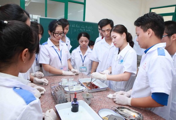Bộ Y tế định hình mạng lưới y tế mới: Hiện đại, đồng bộ và thông minh để nâng chất lượng chăm sóc sức khoẻ nhân dân- Ảnh 2.