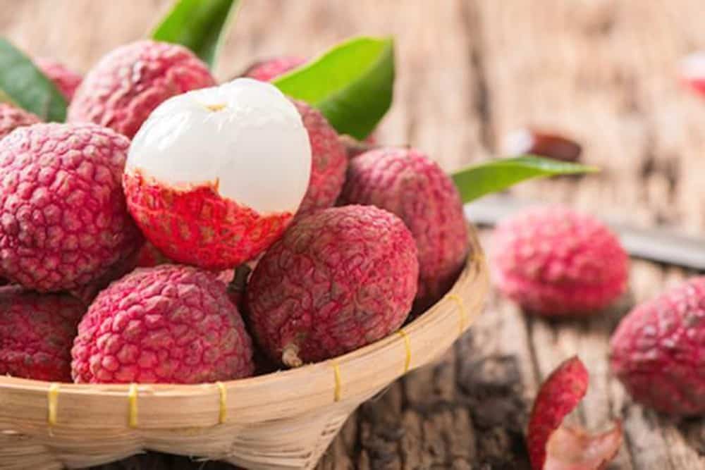 nhom-nguoi-khong-nenan-qua-vai-17800208585021284346859 4 nhóm người không nên ăn nhiều quả vải- Ảnh 1.