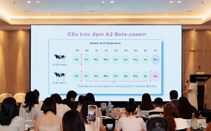 picture4-1781083718357117700874 Đạm A2 có công dụng thế nào?- Ảnh 3.