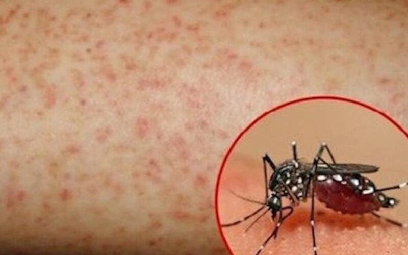Hơn 1.100 ca mắc sốt xuất huyết, Lâm Đồng kích hoạt các biện pháp phòng, chống dịch