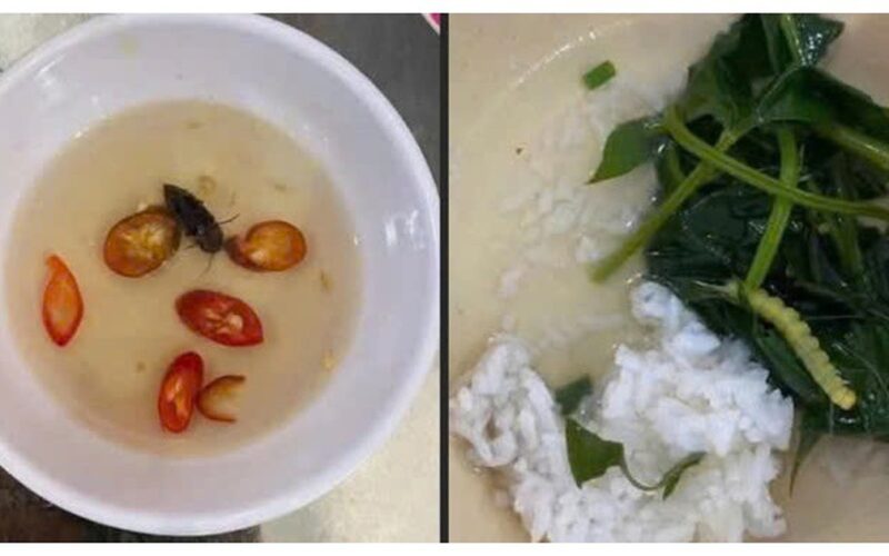 Sở Y tế TP Huế thông tin kết quả xác minh phản ánh ‘canh rau có sâu’