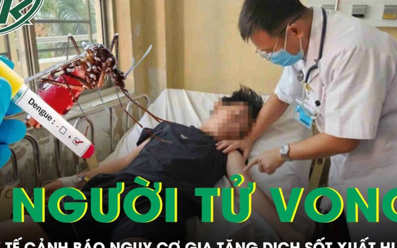 5 người tử vong vì sốt xuất huyết, Bộ Y tế lên tiếng cảnh báo