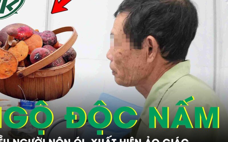 Nhiều người ngộ độc, ảo giác vì ăn món đặc sản quen thuộc