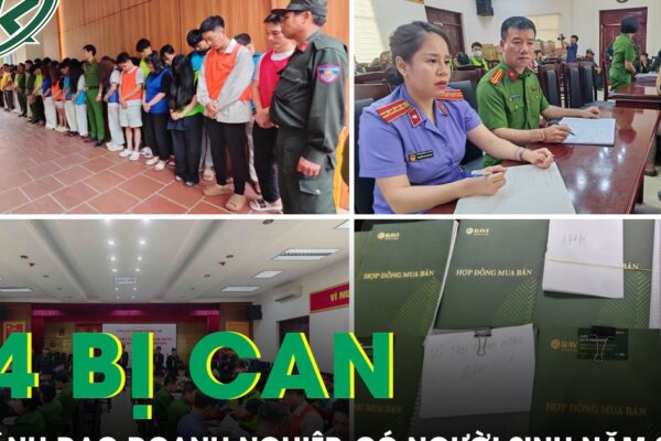 Vụ “Hợp đồng kỳ nghỉ”: 34 bị can là lãnh đạo doanh nghiệp, có người sinh năm 2000