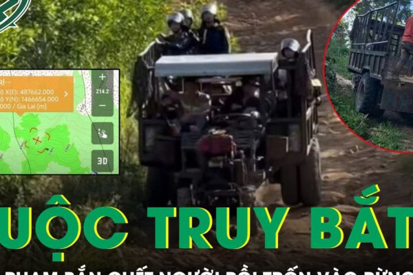 Cảnh sát truy bắt nghi phạm nổ súng bắn chết người rồi bỏ trốn vào rừng sâu ở Gia Lai