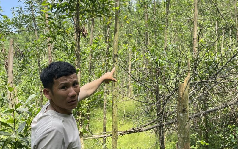 Thông tin mới vụ xã phải thu hồi gần 200 triệu tiền hỗ trợ thiệt hại thiên tai