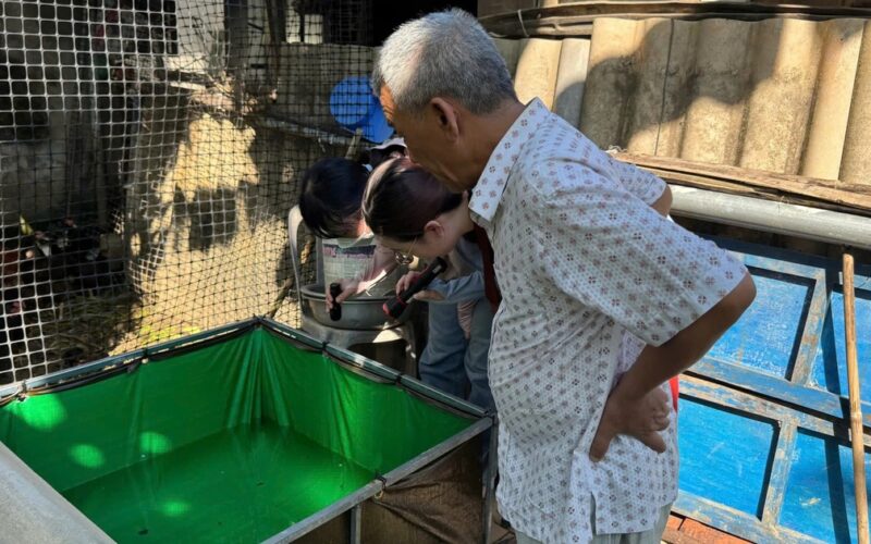 Sốt xuất huyết vẫn tiềm ẩn nhiều nguy cơ, hành động từ mỗi gia đình để bảo vệ cộng đồng
