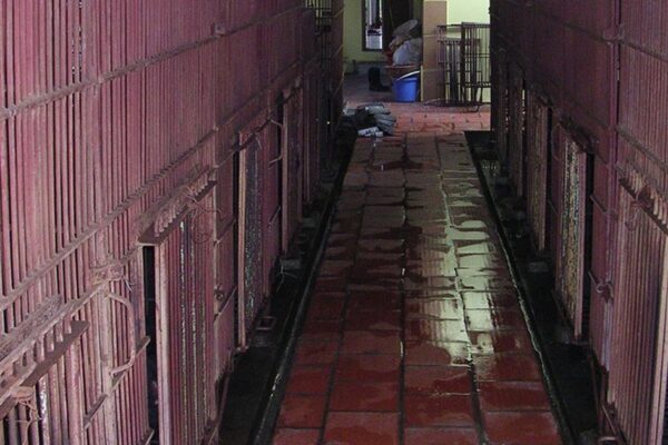 Kêu gọi đưa toàn bộ gấu nuôi nhốt ở Phúc Thọ, Hà Nội vào trung tâm cứu hộ